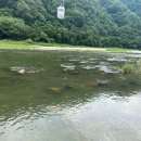 휴토피아 이미지