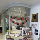 비타동물의료센터 이미지