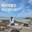 롯데리아제주표선해변점 | 제주 표선해수욕장｜아이와 물놀이하기 좋은 국내 여름휴가지 추천