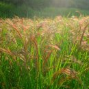 송전산방 이미지