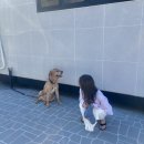 요트펜션 | 경남 통영 요트투어 선셋 오션브리즈 물놀이 액티비티 내돈내산