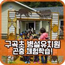 구곡초등학교 이미지