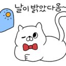 평창지업사 이미지