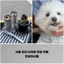 서울 건대 디저트 맛집 카페, 강아지 비숑이 있는 킨보이서울