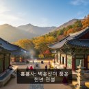 흥룡사: 백운산이 품은 천년 전설