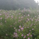 무궁화슈퍼 - 목포시 | 무궁화슈퍼