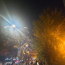 현대약국 | 2025.11.15 서울나들이 -종로 온유약국,서순라길 카페,더현대 크리스마스 현장 웨이팅 실패