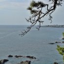 바다언덕 이미지