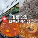 태백산맥 | [강원도 강릉] 강원도 강릉 맛집 : 태백산맥식당 "내돈내산" "웨이팅 후기"