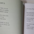 13번째고양이 이미지