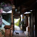 숲속의정원2호점 이미지