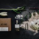 르리스 이미지