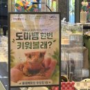 롯데 | 부천 롯데백화점 팝업 도마뱀 후기