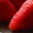 닥실마을 이미지