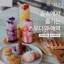 서계리숲 이미지