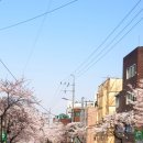 블랑제리꾸끄 이미지