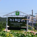 동천한증막 이미지