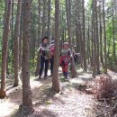 민 목장 이미지