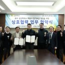 지노컨설팅