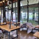 아리아세차 이미지