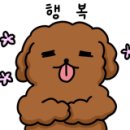 앤도스