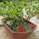 노루마당 이미지