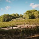 세레나농장 이미지