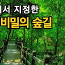 국가 공식 지정!!! 아는 사람만 아는 서울 유일의 생태탐방로ㅣ대중교통 당일치기 여행ㅣ지하철 여행ㅣ트레킹 코스ㅣ서울산책 이미지