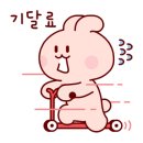 와이엠메디컬뷰티