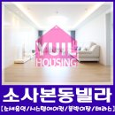 구.복사초 이미지