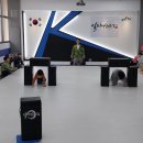 일비태권도장 이미지