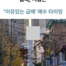 지금부동산중개법인주식회사 네이버블로그