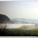 하얀바다