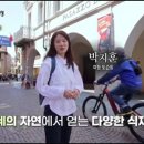 돌체이탈리아 네이버블로그