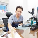 이상피부비뇨기과 네이버블로그