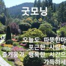 하루의 행복 이미지