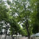 중앙공원1단계 스포츠지원센터1 | 부천체형교정 클래스바디 체형교정센터 부천중동점 일자목 통증 바로 잡기
