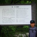 영남 제1 이미지