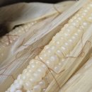 백정가엘씨(LC)영주점 이미지