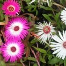 오늘은좋은날 이미지