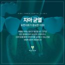 파인타워치과의원 네이버블로그