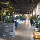 나오라쇼 공연장 이미지