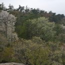 기찬정비 이미지