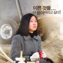 (주)씨네마시티 이미지