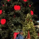 월드헬스타운 | 251213_롯데타운 크리스마켓 사전예약 다녀왔어요! (갈까말까 고민된다면 솔직후기)