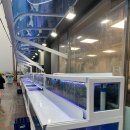 삼돌이횟집대게 이미지