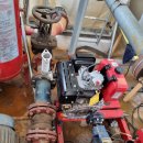 당미그린 이미지