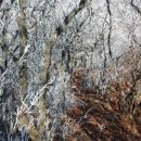 해빛 삼각점 이미지