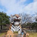 늑대랑여우랑 | 서울대공원 동물원 가족 나들이 후기 (호랑이, 늑대, 코끼리 등)