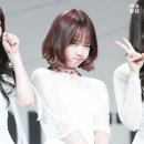 나나나
